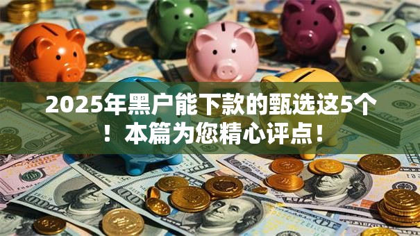 2025年黑户能下款的甄选这5个！本篇为您精心评点！