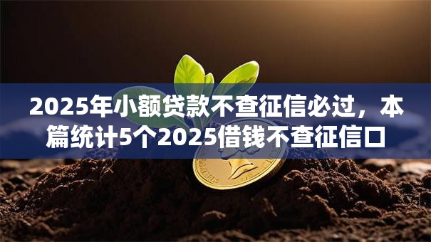 2025年小额贷款不查征信必过，本篇统计5个2025借钱不查征信口子必过