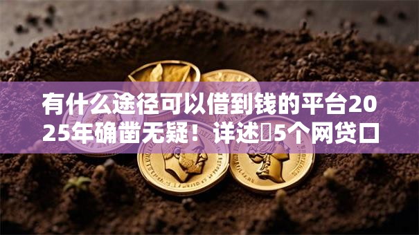 有什么途径可以借到钱的平台2025年确凿无疑！详述​5个网贷口子可以用来贷款的