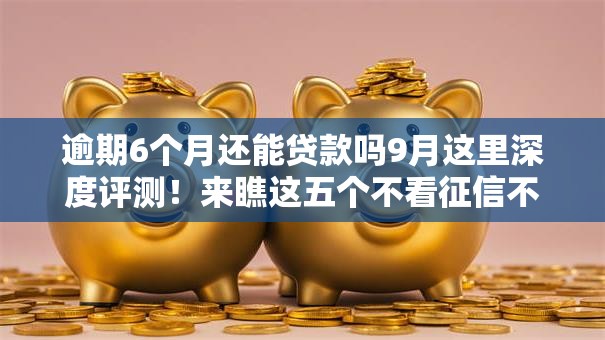 逾期6个月还能贷款吗9月这里深度评测！来瞧这五个不看征信不看年龄直接放款的平台