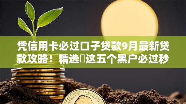 凭信用卡必过口子贷款9月最新贷款攻略！精选​这五个黑户必过秒下款