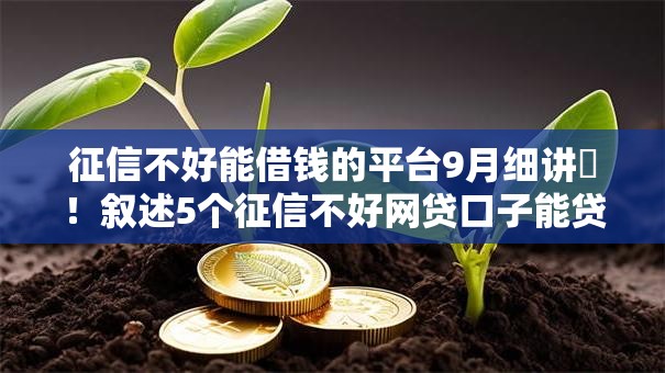 征信不好能借钱的平台9月细讲​！叙述5个征信不好网贷口子能贷款