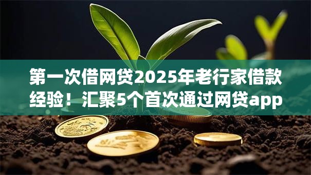 第一次借网贷2025年老行家借款经验！汇聚5个首次通过网贷app借钱