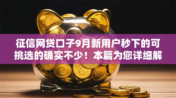 征信网贷口子9月新用户秒下的可挑选的确实不少！本篇为您详细解说​这五个贷款口子！