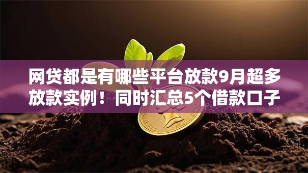 网贷都是有哪些平台放款9月超多放款实例！同时汇总5个借款口子都是哪些软件放款