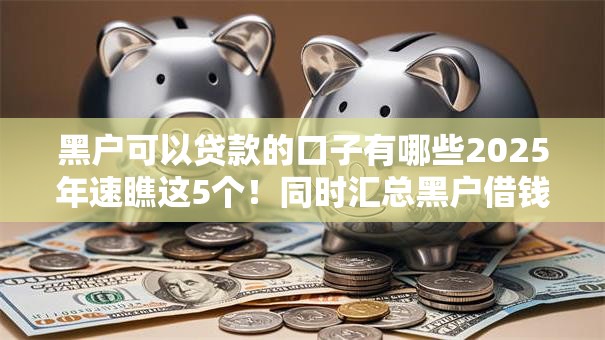 黑户可以贷款的口子有哪些2025年速瞧这5个！同时汇总黑户借钱平台有网贷软件