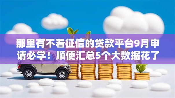 那里有不看征信的贷款平台9月申请必学！顺便汇总5个大数据花了必过的网贷口子