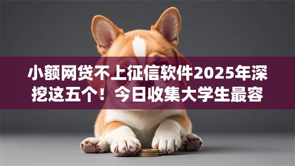 小额网贷不上征信软件2025年深挖这五个！今日收集大学生最容易申请的贷款app