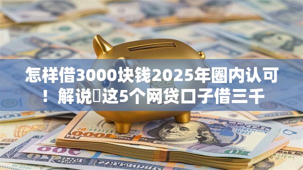 怎样借3000块钱2025年圈内认可！解说​这5个网贷口子借三千