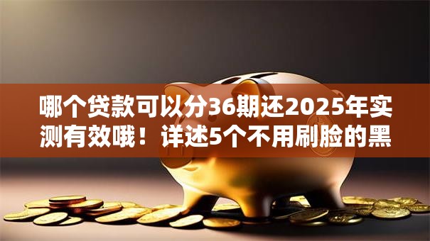 哪个贷款可以分36期还2025年实测有效哦！详述5个不用刷脸的黑户贷款