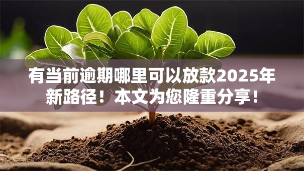 有当前逾期哪里可以放款2025年新路径！本文为您隆重分享！