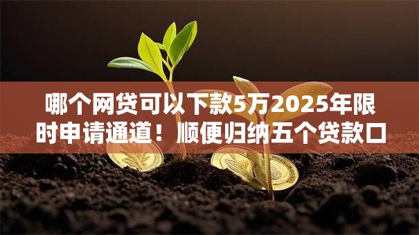 哪个网贷可以下款5万2025年限时申请通道！顺便归纳五个贷款口子可以下款五万