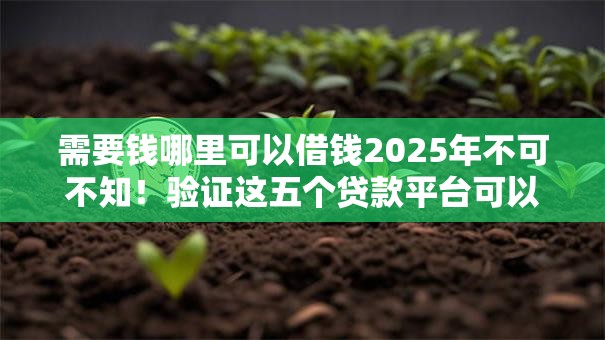 需要钱哪里可以借钱2025年不可不知！验证这五个贷款平台可以借款