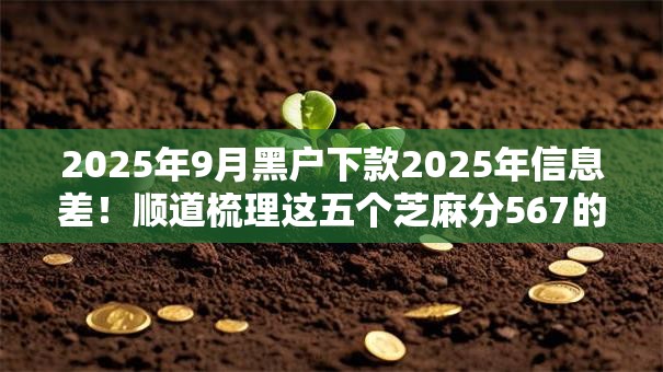 2025年9月黑户下款2025年信息差！顺道梳理这五个芝麻分567的秒批口子