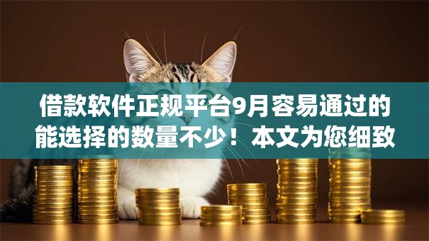 借款软件正规平台9月容易通过的能选择的数量不少！本文为您细致深究这5个黑户网贷app！