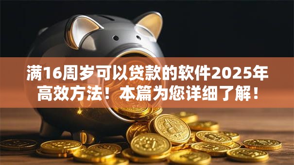 满16周岁可以贷款的软件2025年高效方法！本篇为您详细了解！