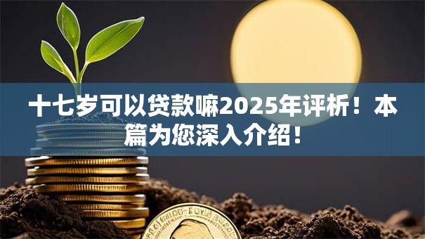 十七岁可以贷款嘛2025年评析！本篇为您深入介绍！