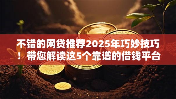 不错的网贷推荐2025年巧妙技巧！带您解读这5个靠谱的借钱平台推荐一下