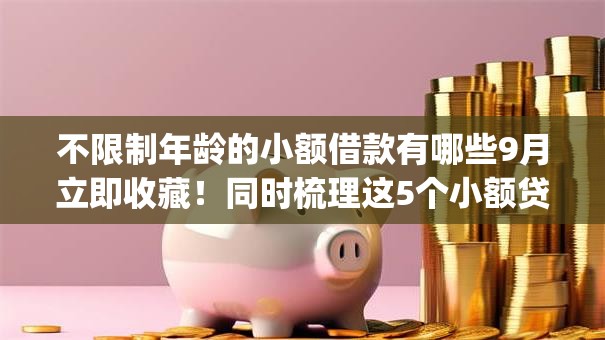 不限制年龄的小额借款有哪些9月立即收藏！同时梳理这5个小额贷款app上线