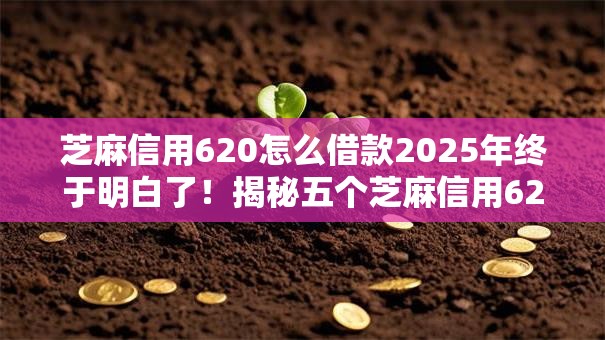 芝麻信用620怎么借款2025年终于明白了！揭秘五个芝麻信用620怎么网贷平台