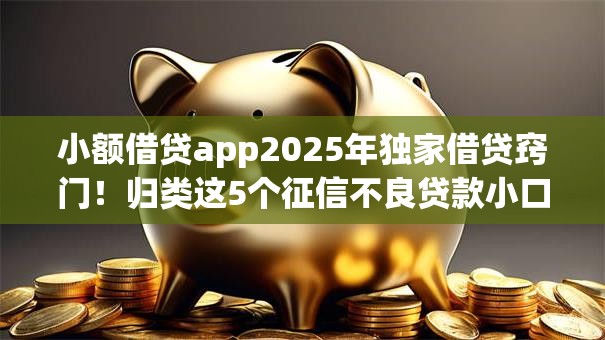 小额借贷app2025年独家借贷窍门！归类这5个征信不良贷款小口子