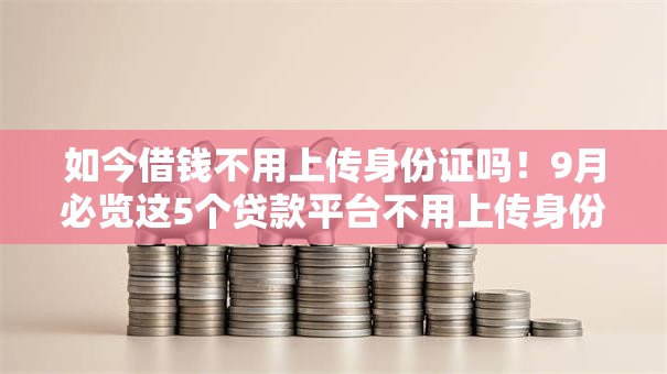 如今借钱不用上传身份证吗！9月必览这5个贷款平台不用上传身份证
