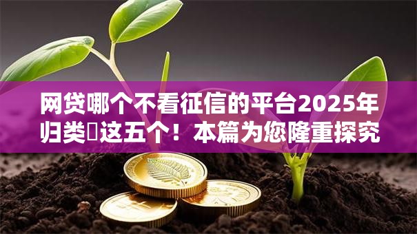 网贷哪个不看征信的平台2025年归类​这五个！本篇为您隆重探究！
