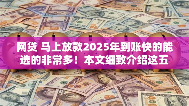 网贷 马上放款2025年到账快的能选的非常多！本文细致介绍这五个黑户借款软件！