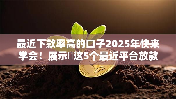 最近下款率高的口子2025年快来学会！展示​这5个最近平台放款率高的网贷借钱