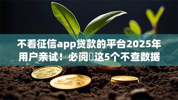 不看征信app贷款的平台2025年用户亲试！必阅​这5个不查数据的贷款