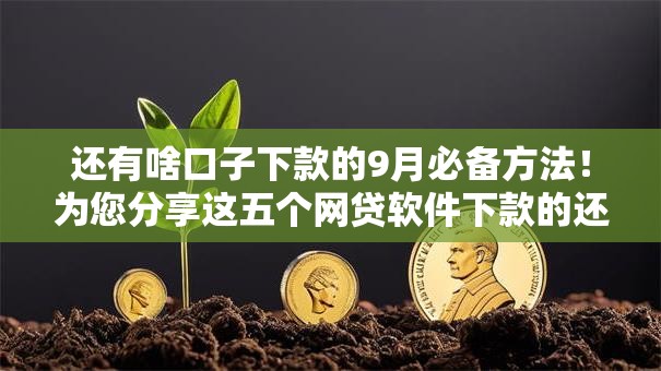 还有啥口子下款的9月必备方法！为您分享这五个网贷软件下款的还有没有