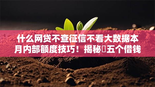 什么网贷不查征信不看大数据本月内部额度技巧！揭秘​五个借钱口子不查征信不看大数据
