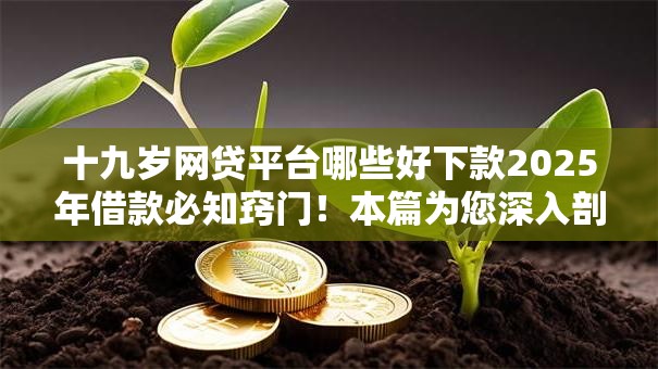 十九岁网贷平台哪些好下款2025年借款必知窍门！本篇为您深入剖析！
