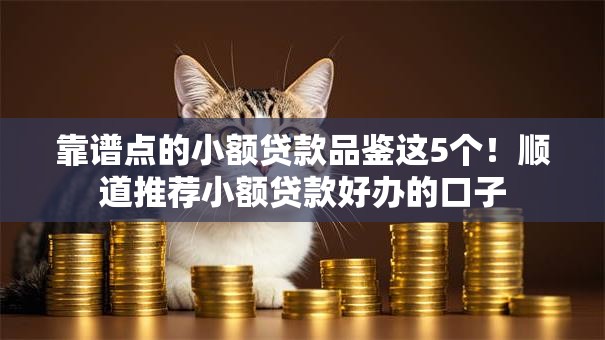 靠谱点的小额贷款品鉴这5个！顺道推荐小额贷款好办的口子