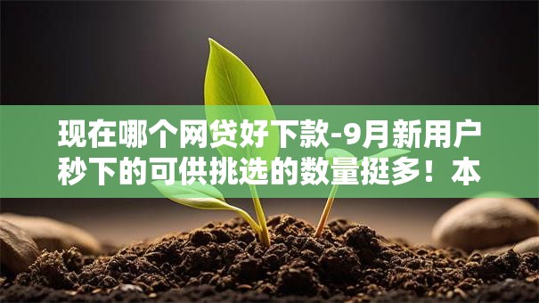 现在哪个网贷好下款-9月新用户秒下的可供挑选的数量挺多！本文为您精心概括这5个借款平台！