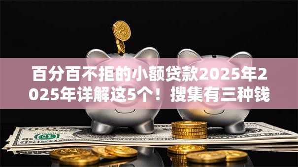 百分百不拒的小额贷款2025年2025年详解这5个！搜集有三种钱不能借