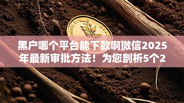 黑户哪个平台能下款啊微信2025年最新审批方法！为您剖析5个20家不查征信