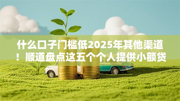 什么口子门槛低2025年其他渠道！顺道盘点这五个个人提供小额贷款