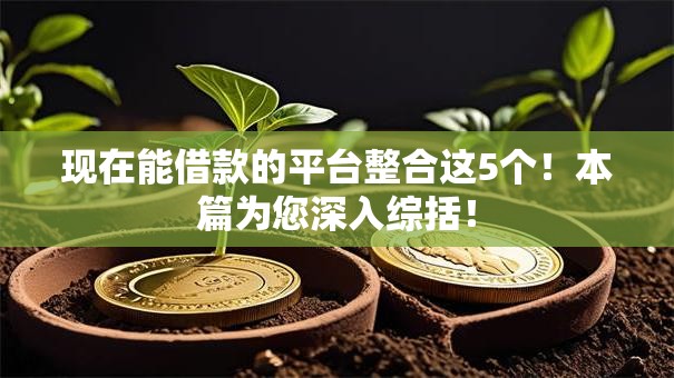 现在能借款的平台整合这5个！本篇为您深入综括！