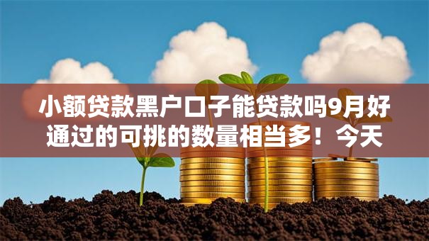 小额贷款黑户口子能贷款吗9月好通过的可挑的数量相当多！今天为您细致严挑这5个网贷平台！