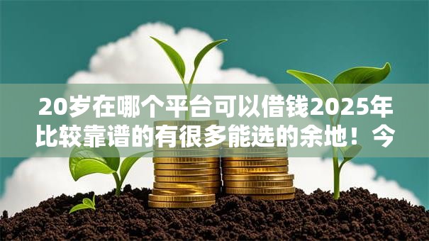 20岁在哪个平台可以借钱2025年比较靠谱的有很多能选的余地！今天为您全面列举这5个贷款平台！