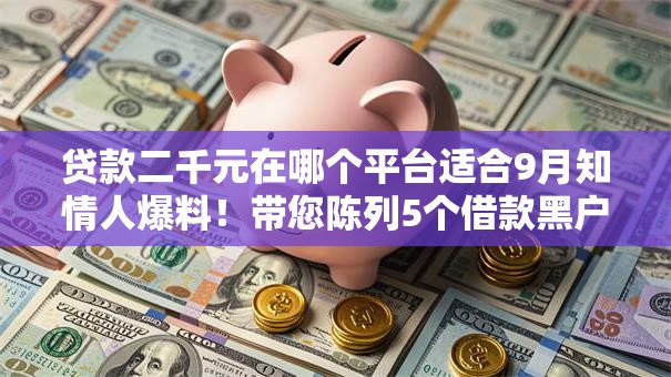 贷款二千元在哪个平台适合9月知情人爆料！带您陈列5个借款黑户必下