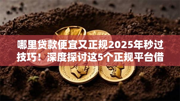 哪里贷款便宜又正规2025年秒过技巧！深度探讨这5个正规平台借款便宜又省心