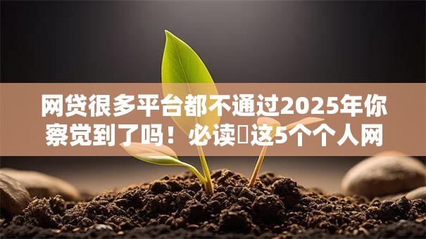 网贷很多平台都不通过2025年你察觉到了吗！必读​这5个个人网贷大数据查询