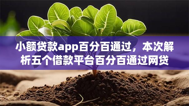 小额贷款app百分百通过，本次解析五个借款平台百分百通过网贷