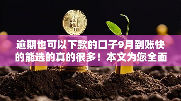 逾期也可以下款的口子9月到账快的能选的真的很多！本文为您全面收藏这五个黑户借款口子！