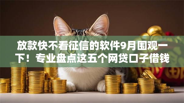 放款快不看征信的软件9月围观一下!专业盘点这五个网贷口子借钱快不用查征信 放款快不看征信的软件9月围观一下!专业盘点这五个网贷口子借钱快不用查征信