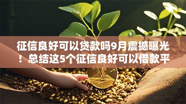 征信良好可以贷款吗9月震撼曝光！总结这5个征信良好可以借款平台通过
