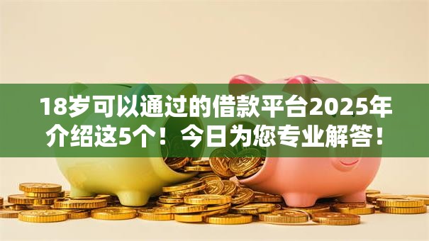 18岁可以通过的借款平台2025年介绍这5个！今日为您专业解答！