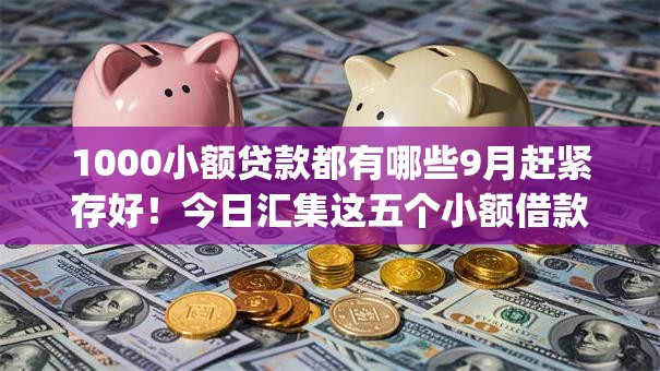1000小额贷款都有哪些9月赶紧存好！今日汇集这五个小额借款都有哪些网贷app